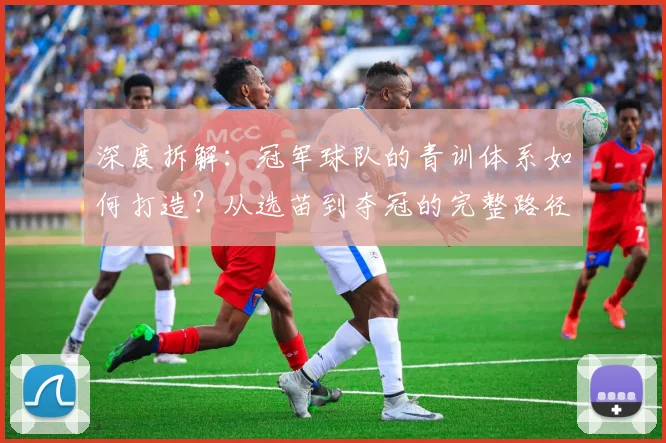 深度拆解：冠军球队的青训体系如何打造？从选苗到夺冠的完整路径分析